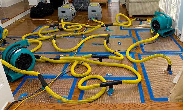 Professional Crawl Space Water Removal technician working in Essex, MA